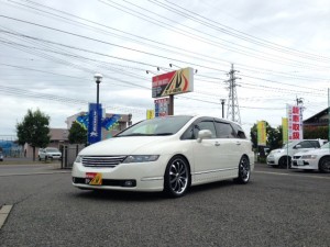 写真 2 (7)