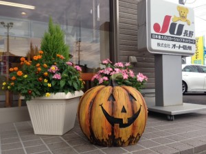 写真 1 (7)