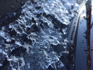IMG_8610