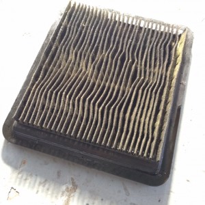image2 (25)