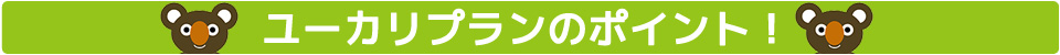 ユーカリプランのポイント