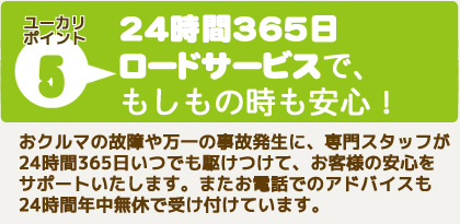 ユーカリポイント5